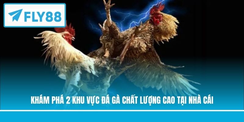 Khám phá 2 khu vực đá gà chất lượng cao tại nhà cái
